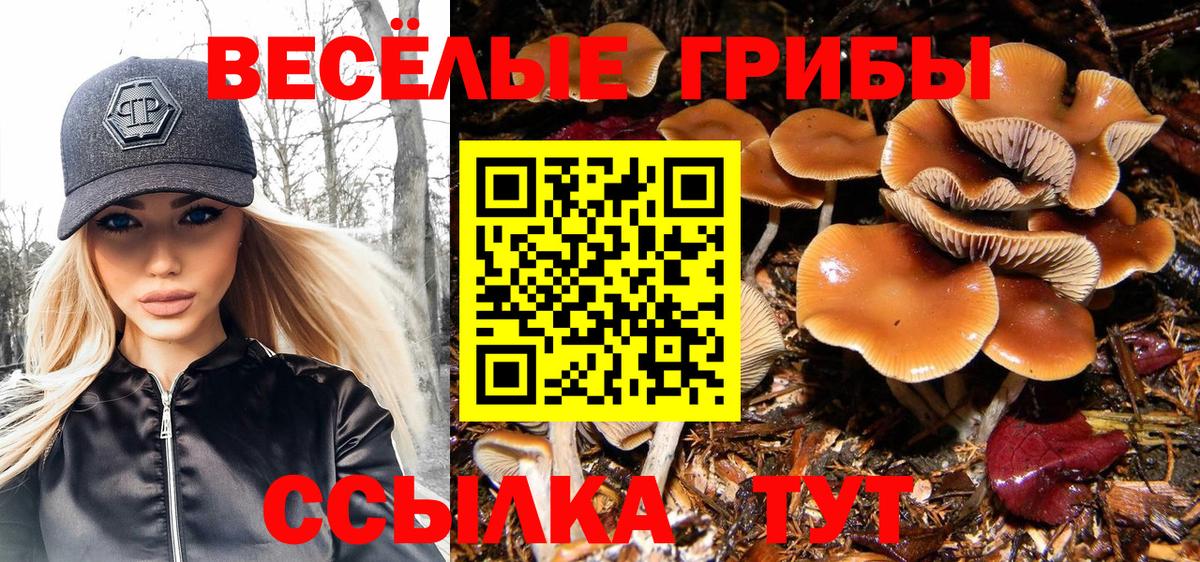 Галлюциногенные грибы ЛСД Изобильный